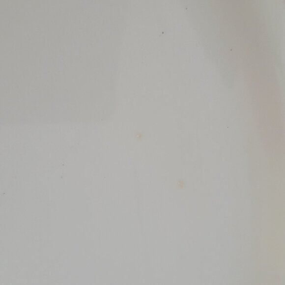 Vintage Homer Laughlin Oval Serving Platter Red Leaf Pattern 11" Ceramic Dinnerw - Picture 2 of 4